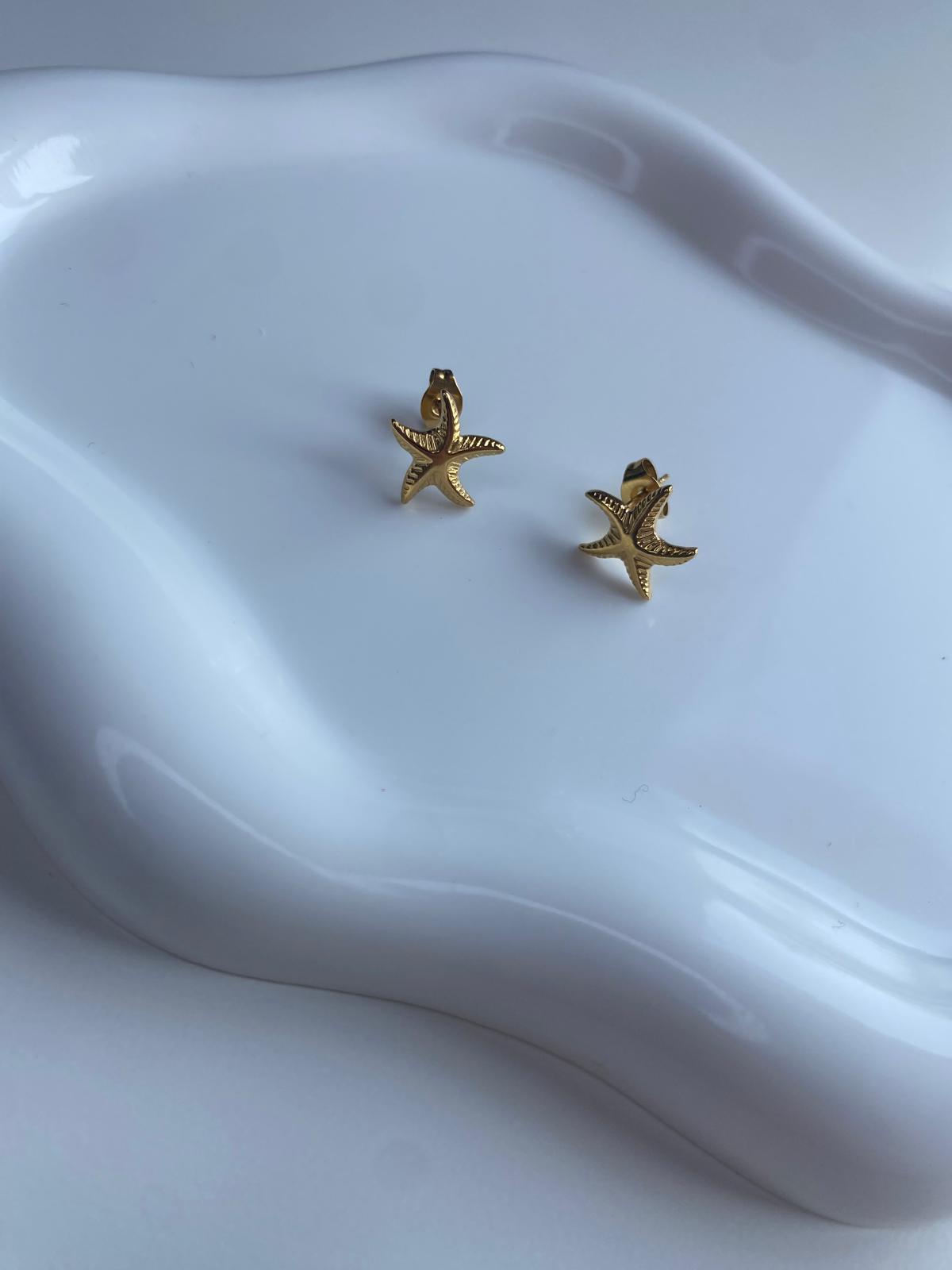 Brincos Sea Star